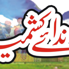 nidaekashmir