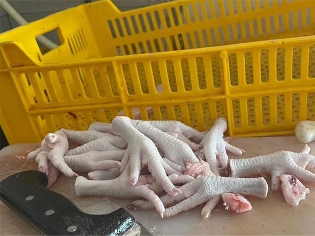 مہنگائی کا طوفان، مصر میں حکومت کا شہریوں کو مرغی کے پنجے کھانے کا مشورہ