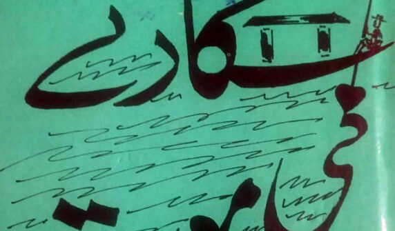 ’’شکارے کی موت‘‘کا تنقیدی جائزہ